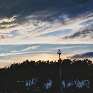 美女光屁股性胶
